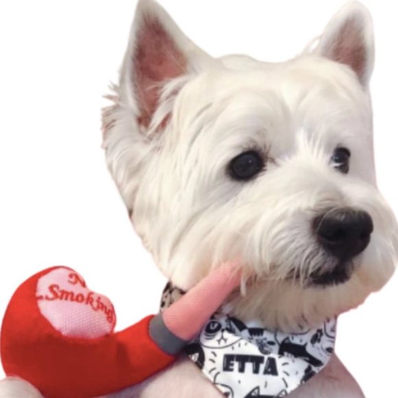 2/$10 NWT/SEALED Plush Dog Toy - Picture 2 of 5